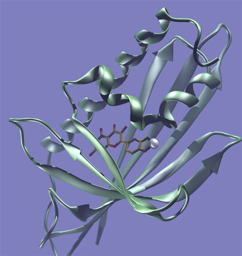 betjav|BIOQUIMICA.